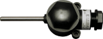 дТС 125Л EX